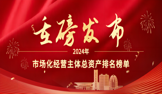 重磅丨城投市場化業務經營啟示錄：2024年市場化經營主體總資產排名榜單