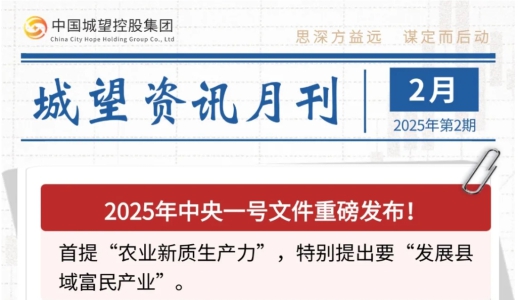 城望資訊2月刊丨中央一號文件重磅發布！全國首單數據資產作價入股落地？