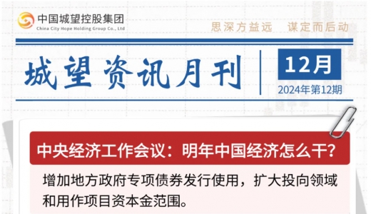 城望資訊12月刊丨明年中國經濟怎么干？