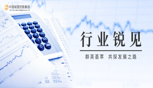 銳見丨DeepSeek 解讀城投行業：城投公司的輝煌與隱憂