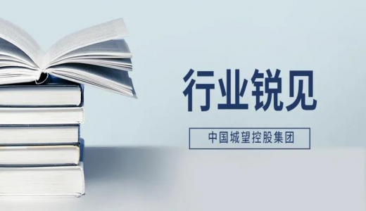 中紀委點名融資平臺，意味著什么？