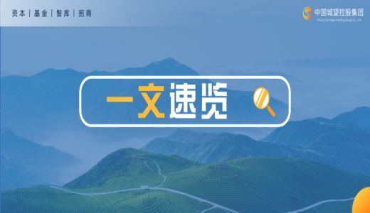 收藏！2025年上半年城投化債 、融資十大政策和事件梳理